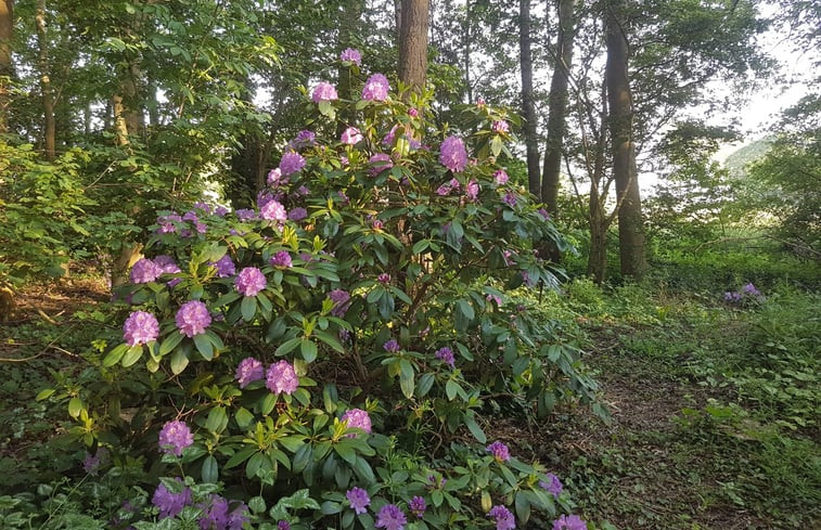 Natuurhuisje in de Hoef