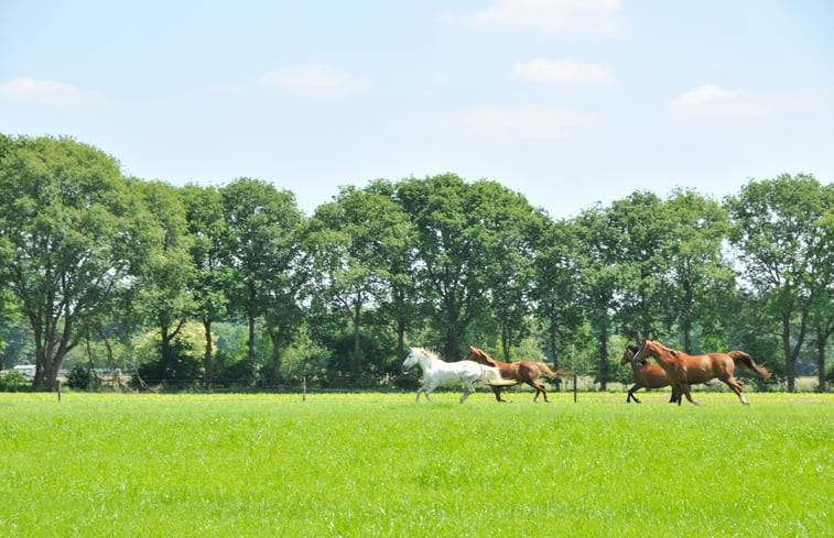 Natuurhuisje in Soest