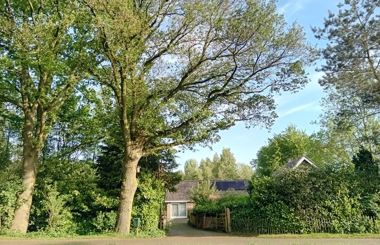 Natuurhuisje in Hemrik