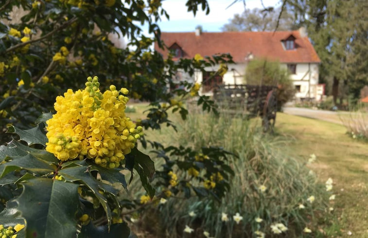 Natuurhuisje in Saint-Dizier-Masbaraud