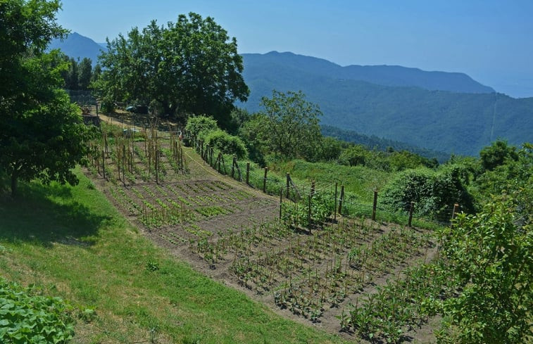 Natuurhuisje in Castiglione Chiavarese