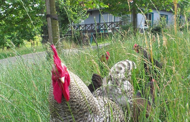 Natuurhuisje in Wijlre