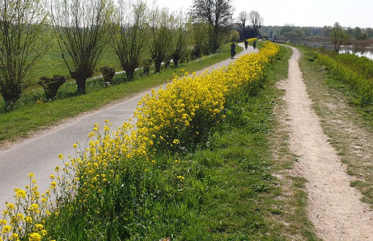 Natuurhuisje in Schipluiden