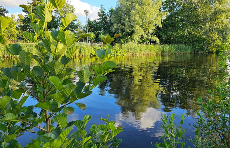 Natuurhuisje in Westergeest