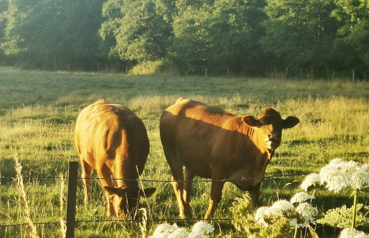 Natuurhuisje in Beaumé