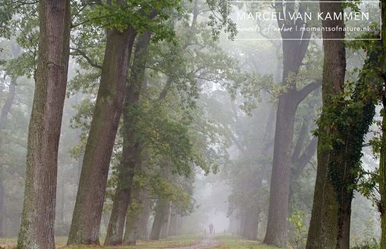 Natuurhuisje in Twijzelerheide