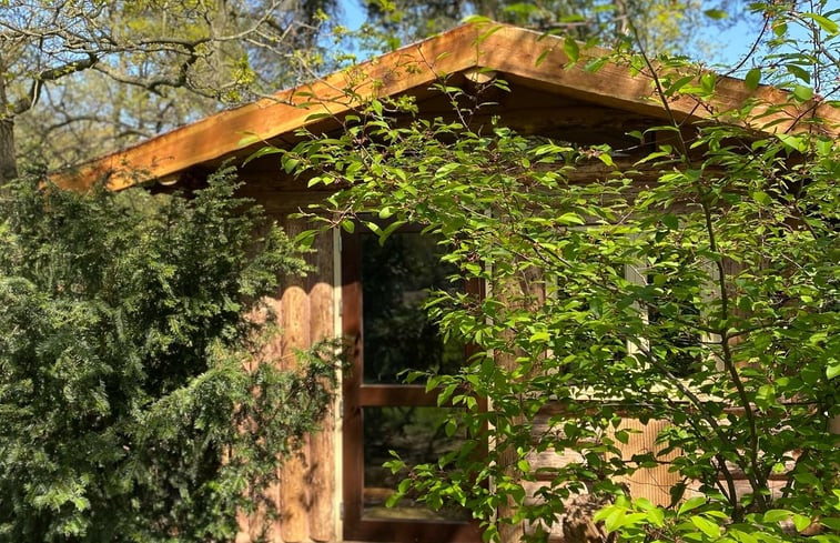 Natuurhuisje in Koningsbosch