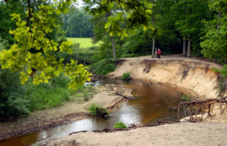 Natuurhuisje in de Lutte