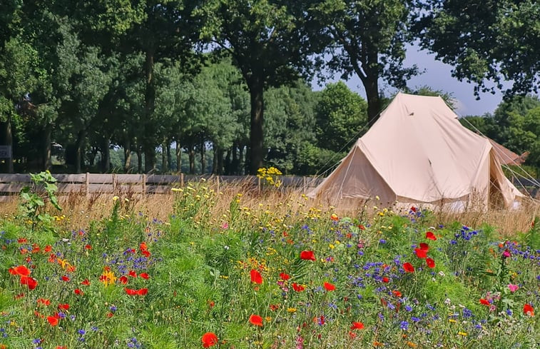 Natuurhuisje in Erp