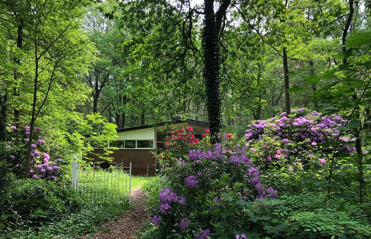 Natuurhuisje in Barchem