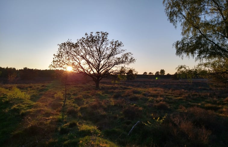 Natuurhuisje in Emst