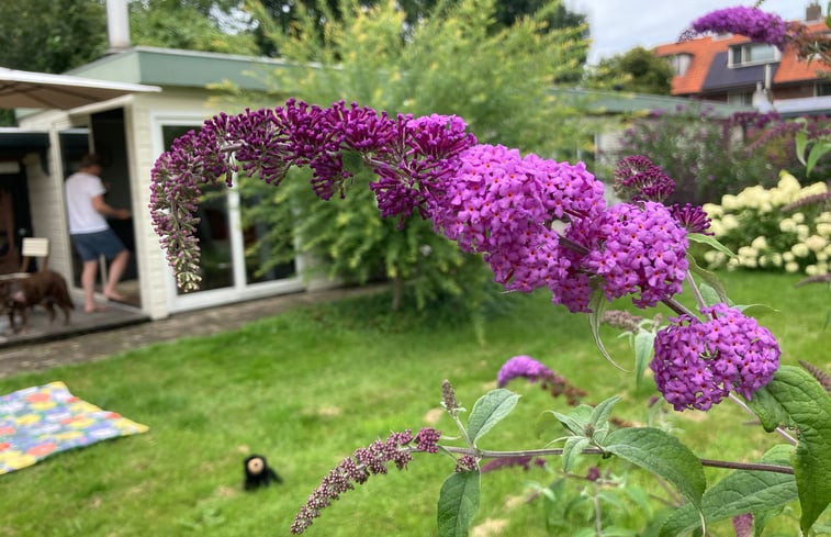 Natuurhuisje in Groenekan, Gemeente De Bilt