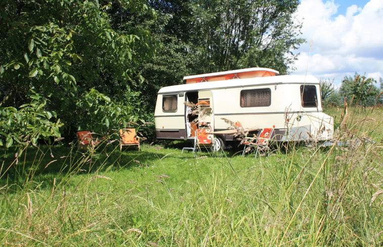 Natuurhuisje in Maasbommel