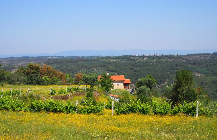 Natuurhuisje in Povoa de Midoes (Tabua)