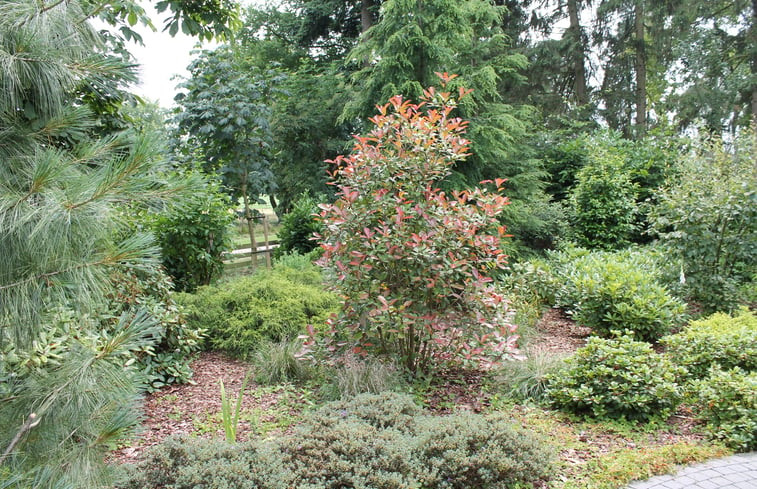 Natuurhuisje in Beekbergen