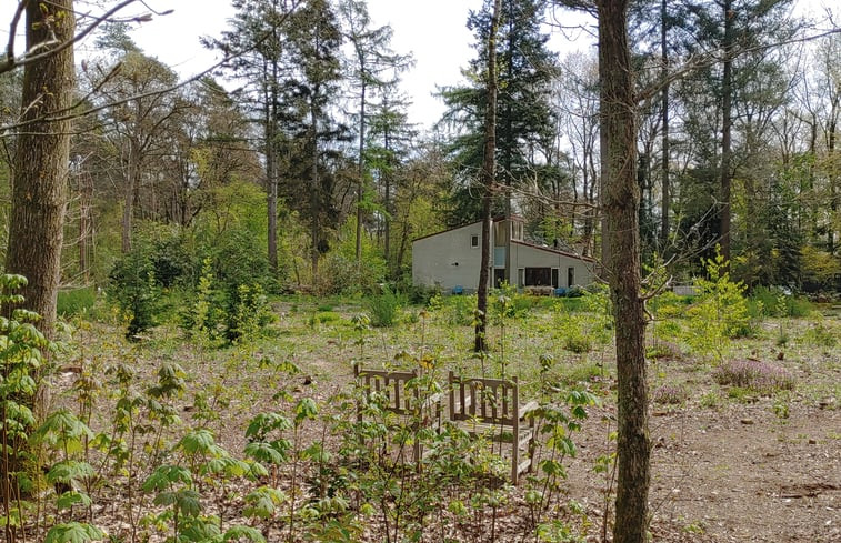 Natuurhuisje in Halle