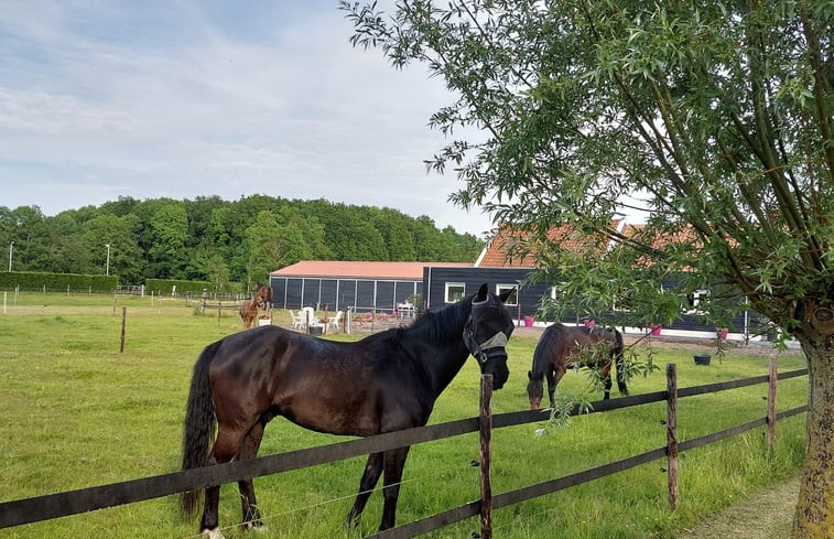 Natuurhuisje in Noordgouwe