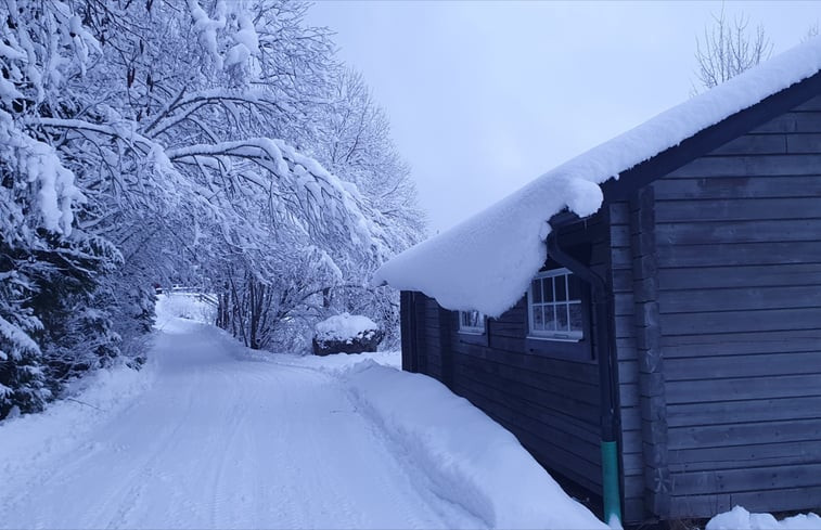 Natuurhuisje in Höljes