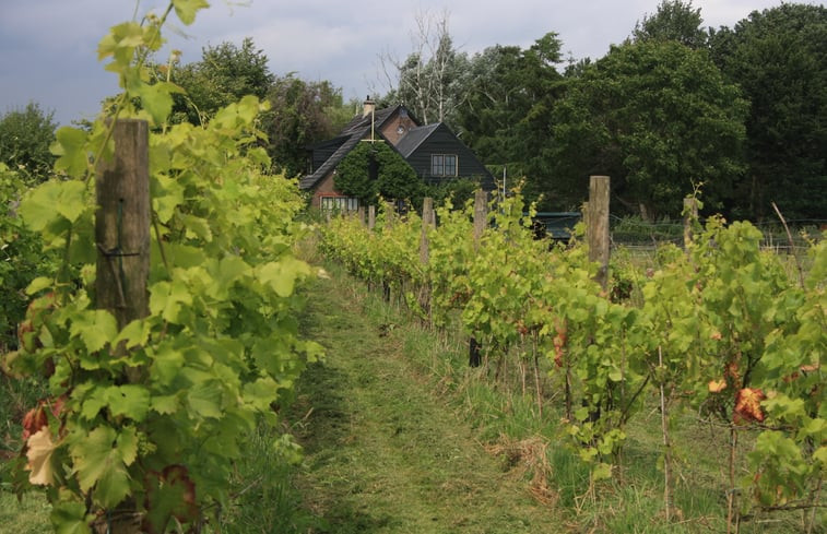 Natuurhuisje in Wilp