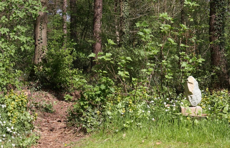 Natuurhuisje in Norg