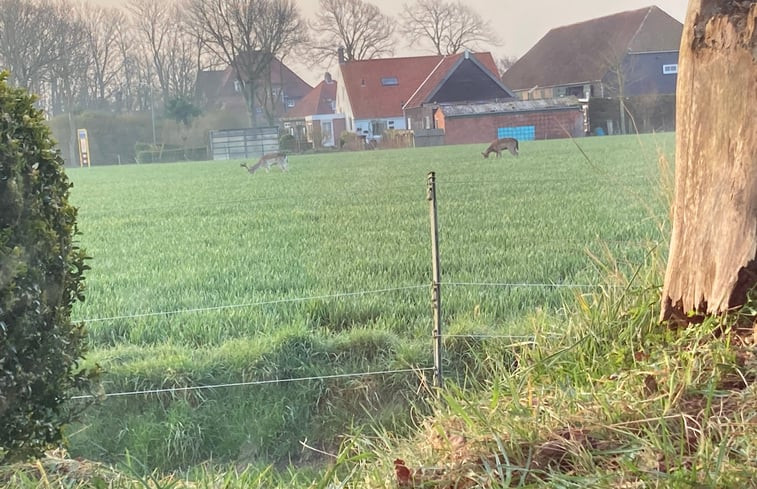 Natuurhuisje in Oostkapelle