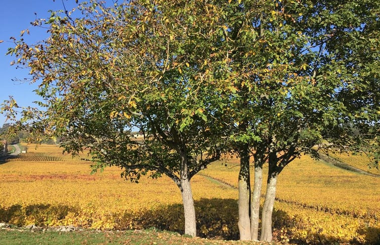 Natuurhuisje in Mercurey