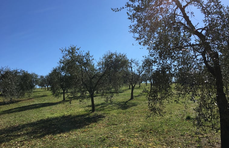 Natuurhuisje in Amelia - Porchiano del Monte