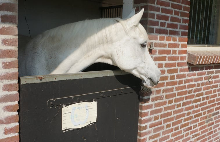 Natuurhuisje in Vrouwenpolder