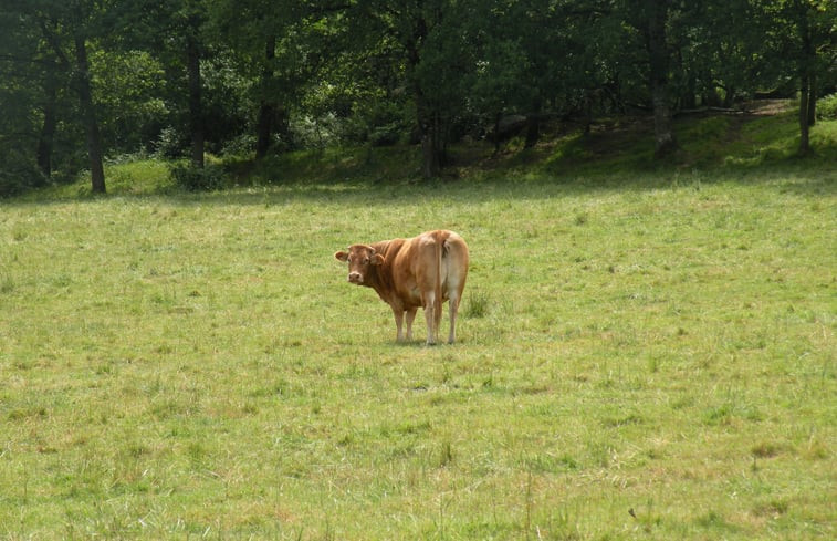 Natuurhuisje in Saint Laurent sur Gorre