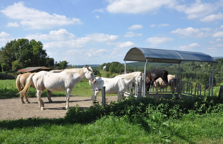 Natuurhuisje in Engreux