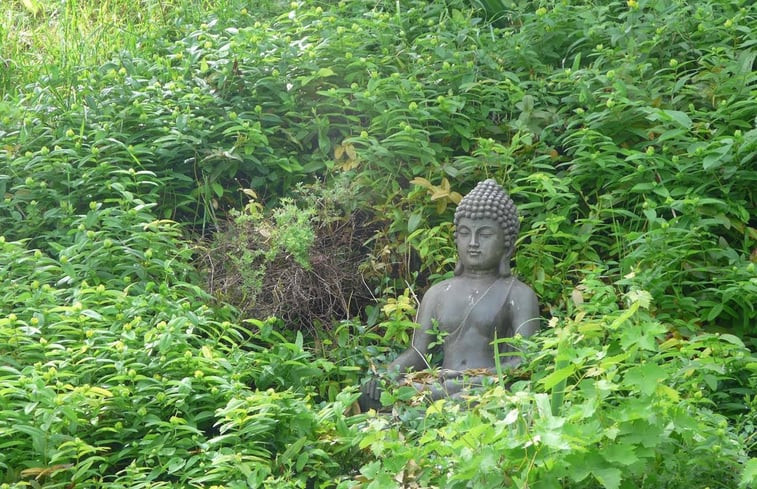 Natuurhuisje in Tournon d'Agenais