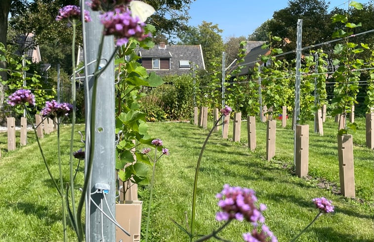 Natuurhuisje in Serooskerke (Walcheren)