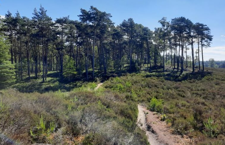 Natuurhuisje in Emst