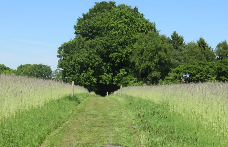 Natuurhuisje in Balkbrug