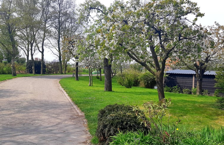 Natuurhuisje in Drongelen