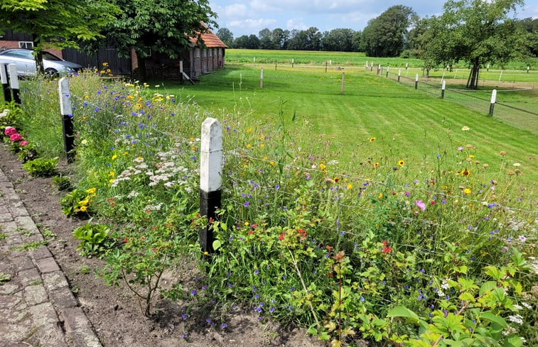 Natuurhuisje in Diepenheim