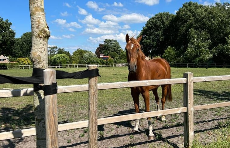 Natuurhuisje in Ommen