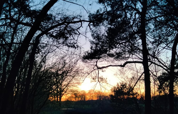 Natuurhuisje in Sint-Oedenrode