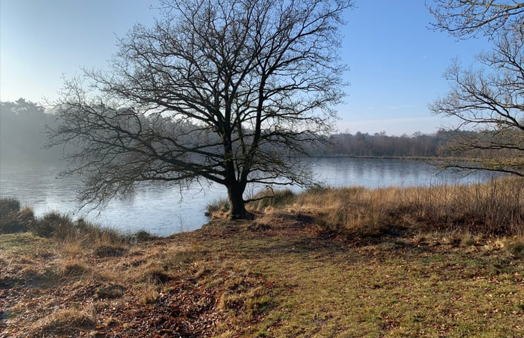 Natuurhuisje in Wapse