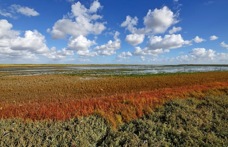 Natuurhuisje in Texel