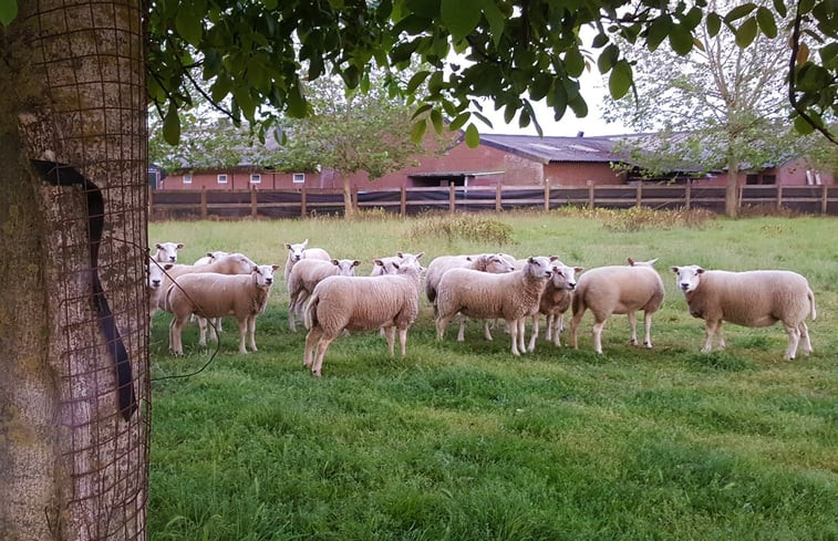 Natuurhuisje in Baexem