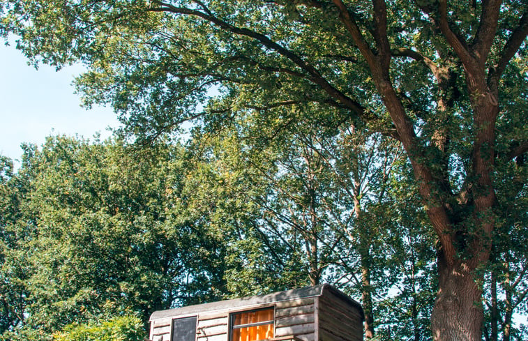 Natuurhuisje in Bruchterveld