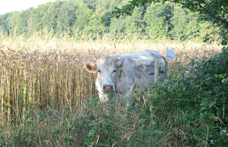 Natuurhuisje in Semelay