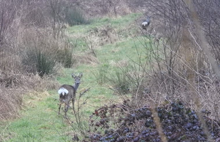 Natuurhuisje in Hengelo gld