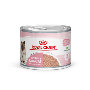 Royal Canin Mother & Babycat Mousse kattenvoer 1 tray (12 x 195 g)