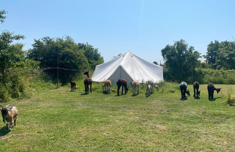 Natuurhuisje in Argentonnay