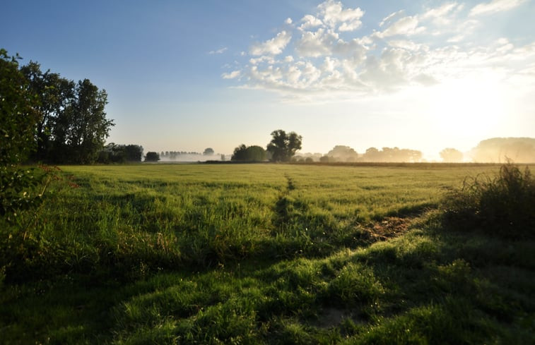 Natuurhuisje in Sint-Oedenrode