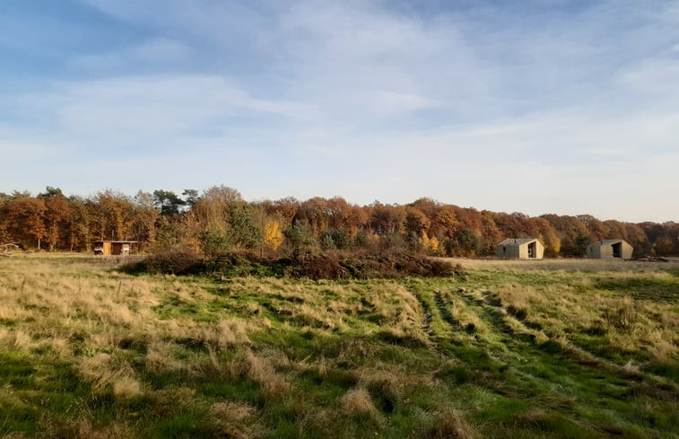 Natuurhuisje in Lemele