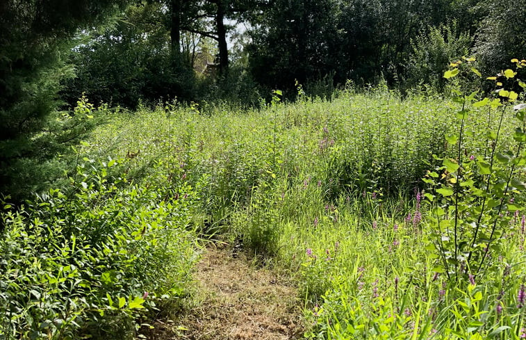 Natuurhuisje in Varsseveld