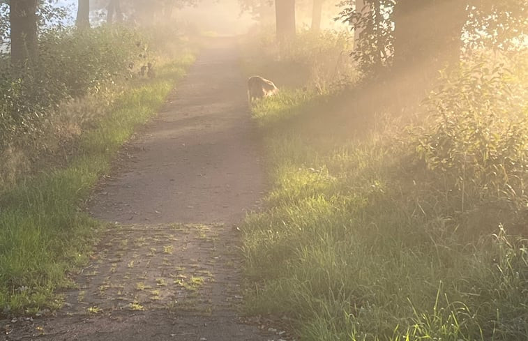 Natuurhuisje in Doldersum